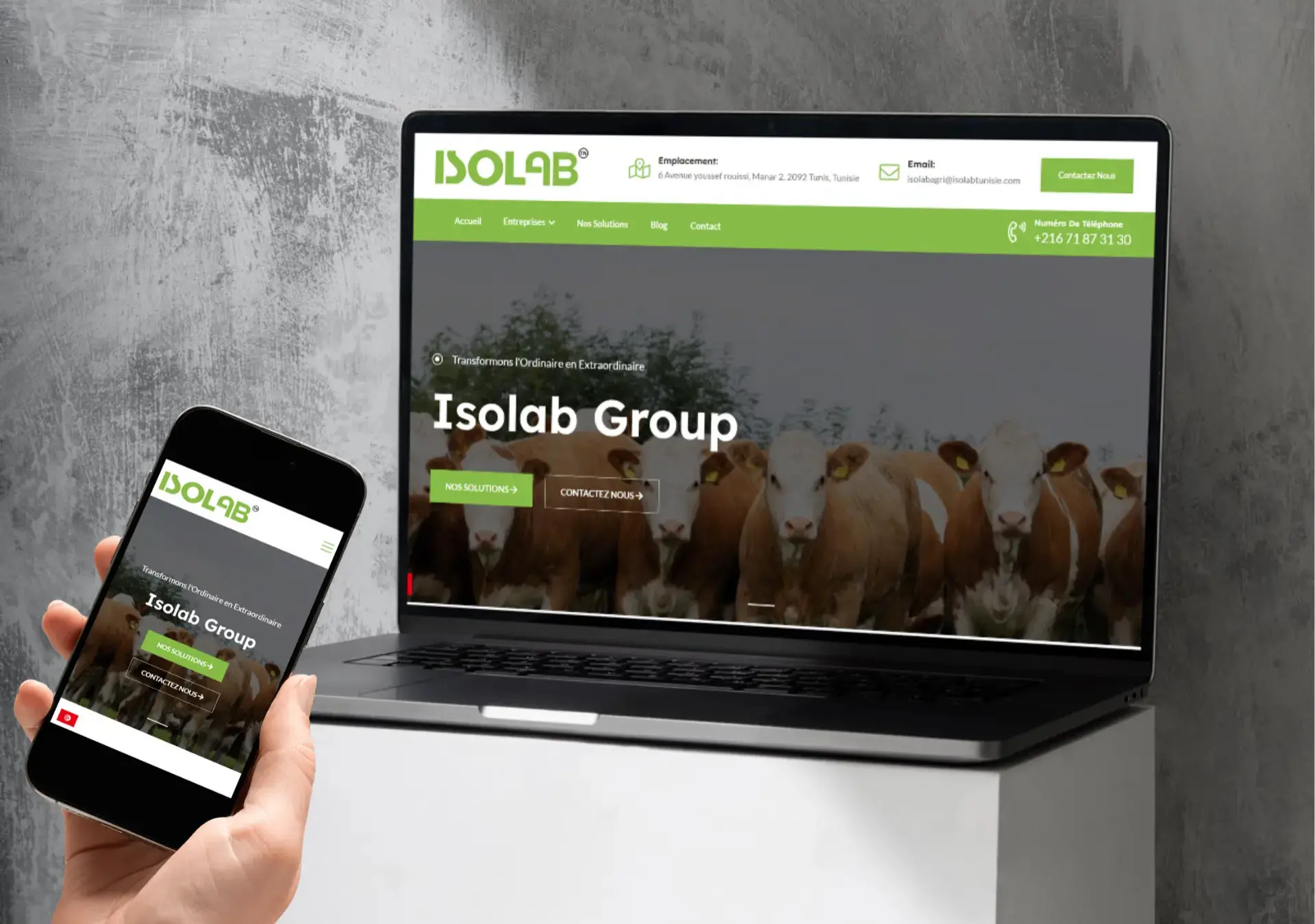 ISOLAB Group - digital project by THE ROAD